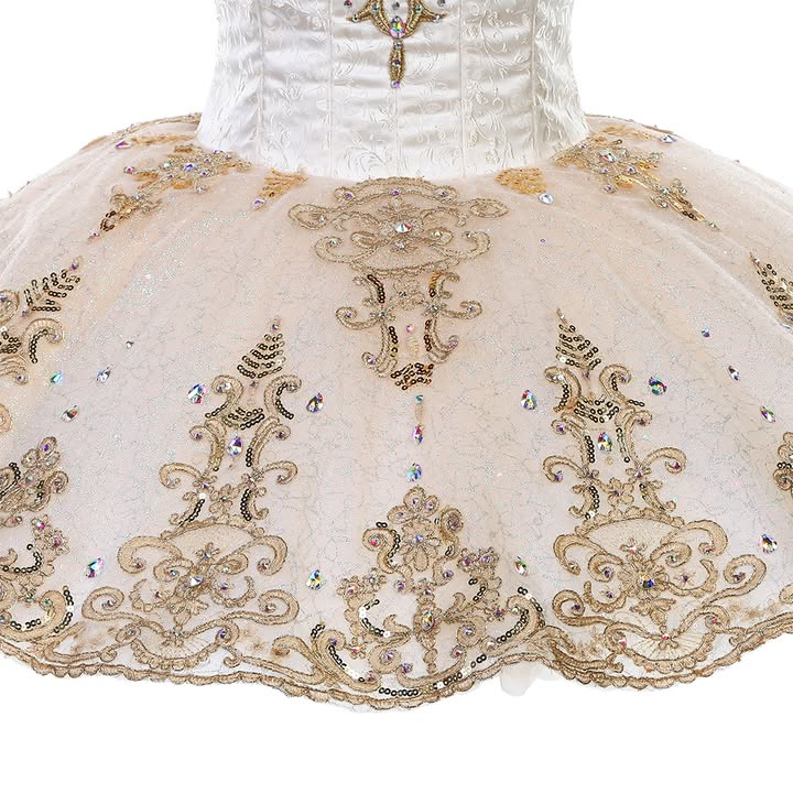 Shiny Princess Aurora