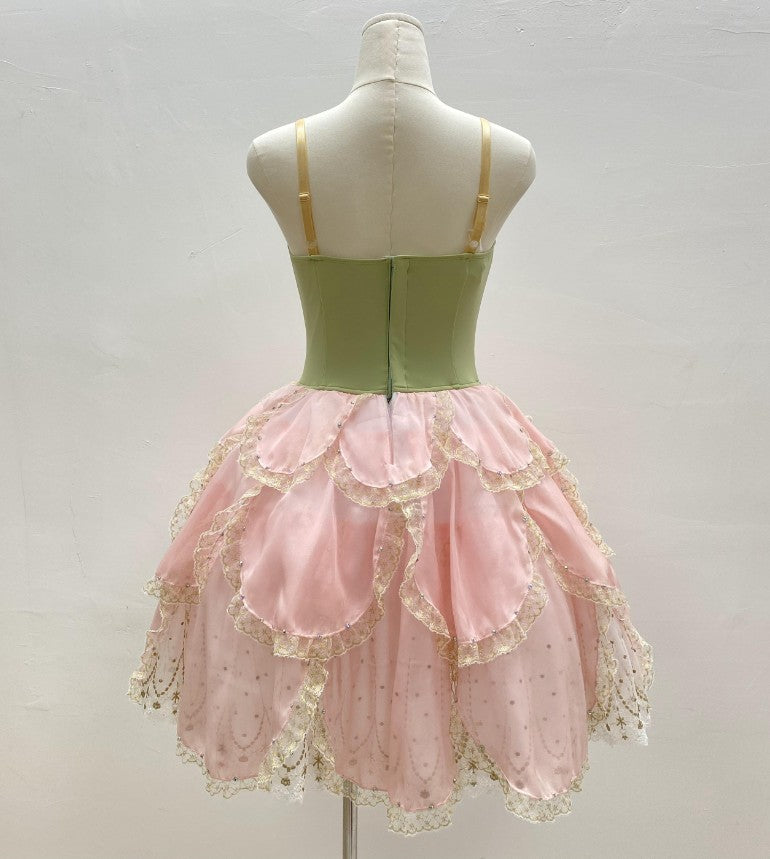 Waltz of the Roses - Dancewear by Patricia
