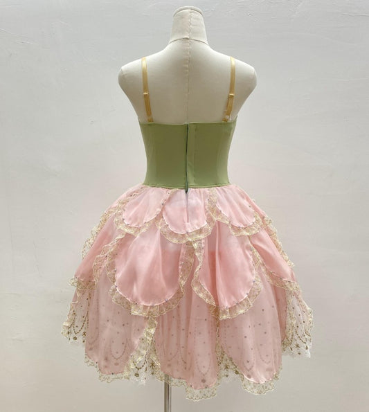 Waltz of the Roses - Dancewear by Patricia