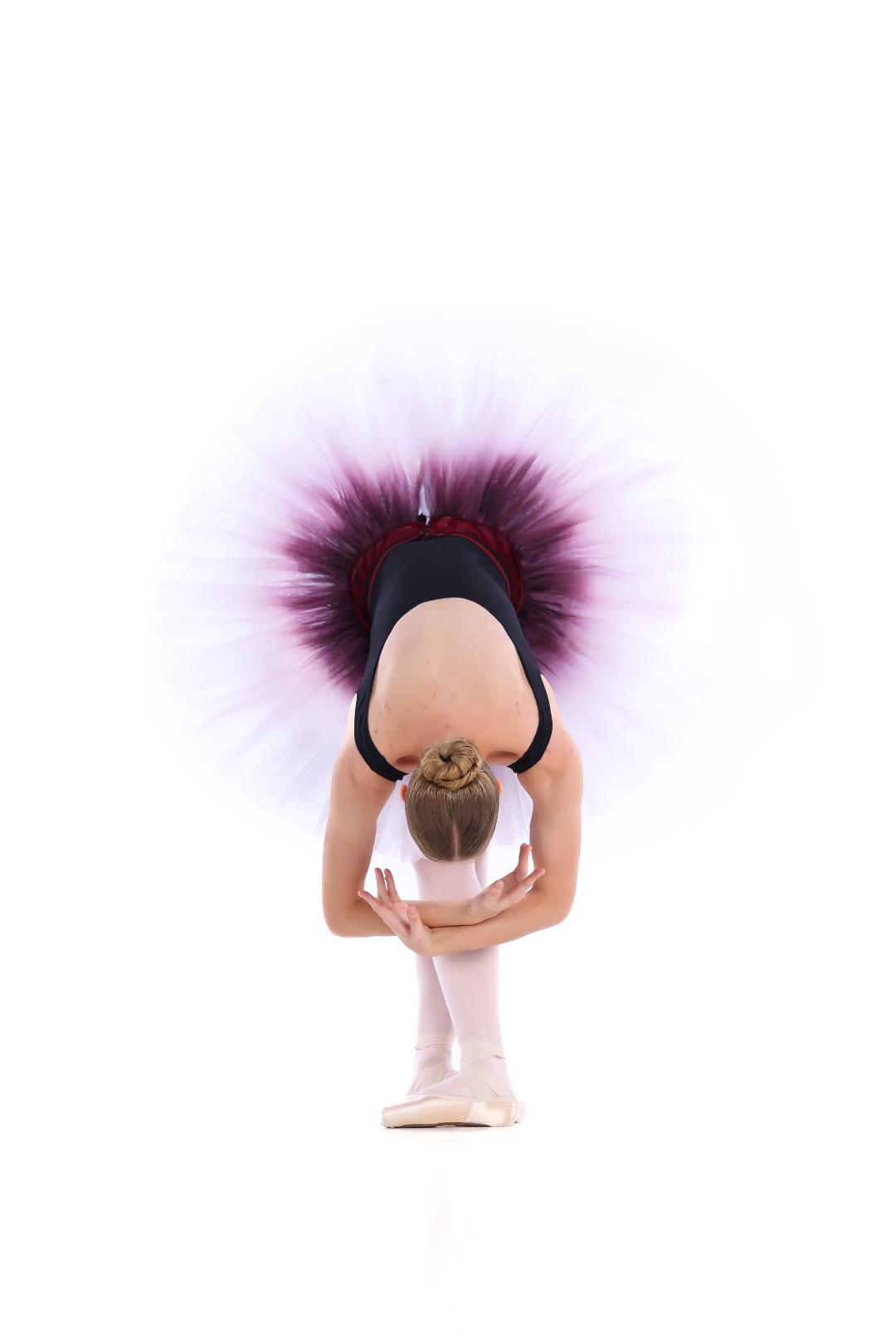 Ombre' Practice Tutu Skirt