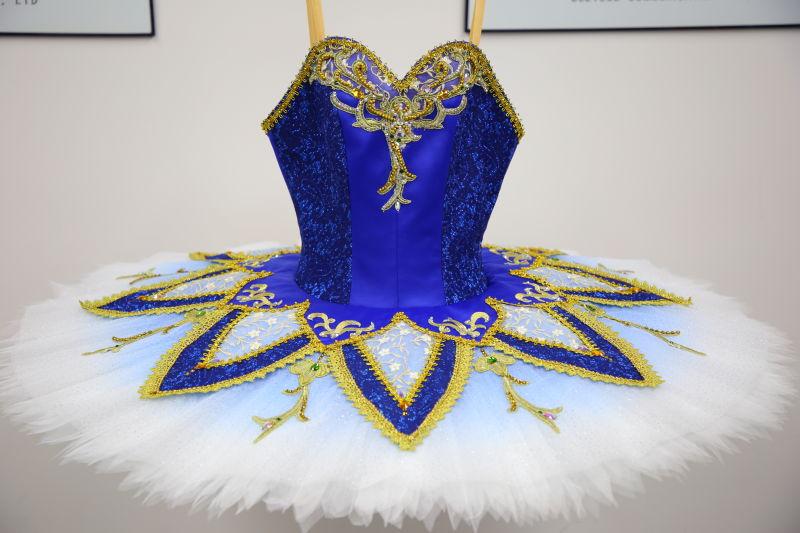 Blue Ombre Princess - Dancewear by Patricia