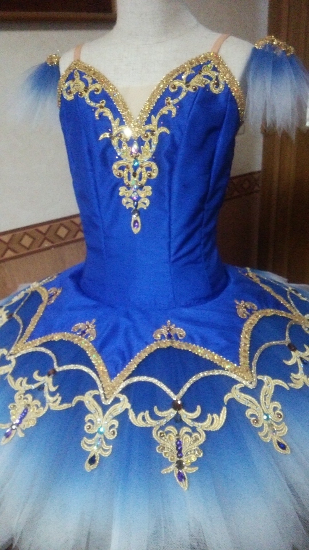 Princess Florine Bluebird Variation - Dancewear by Patricia