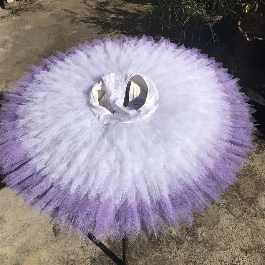 Ombre Lilac Princess - Dancewear by Patricia